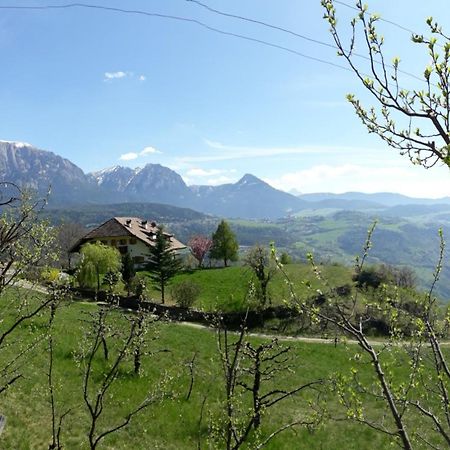 Birbamergut Longostagno Екстер'єр фото