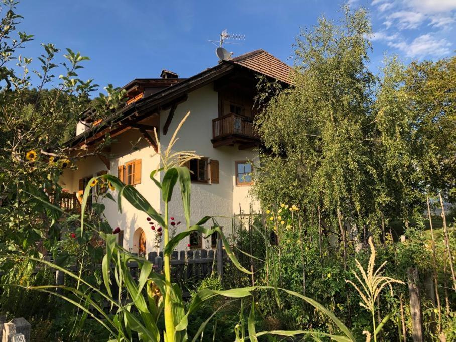 Birbamergut Longostagno Екстер'єр фото